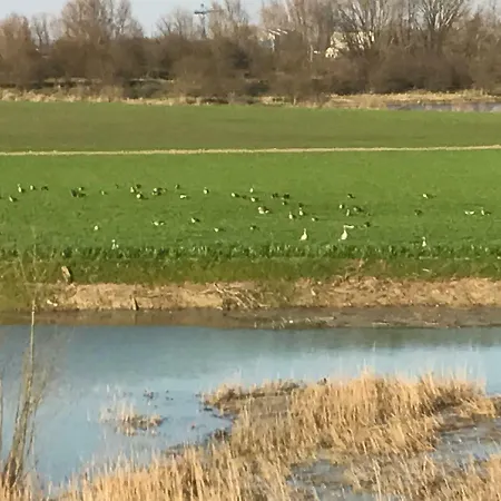 De Vakhoeve Bed & Breakfast Druten