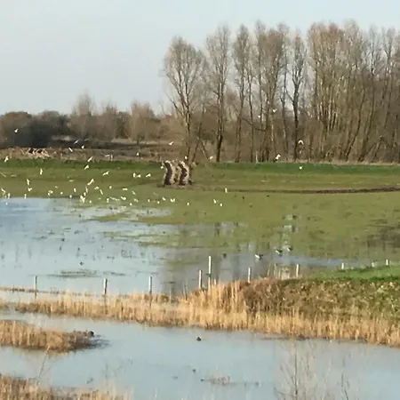 De Vakhoeve