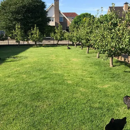 De Vakhoeve